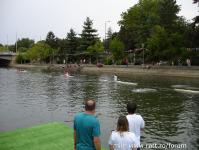 Imagine atasata: bega bulevard 02.09.2017 30.jpg